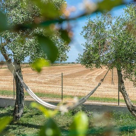 Ortopi Country Canapa House Porto Recanati Εξωτερικό φωτογραφία