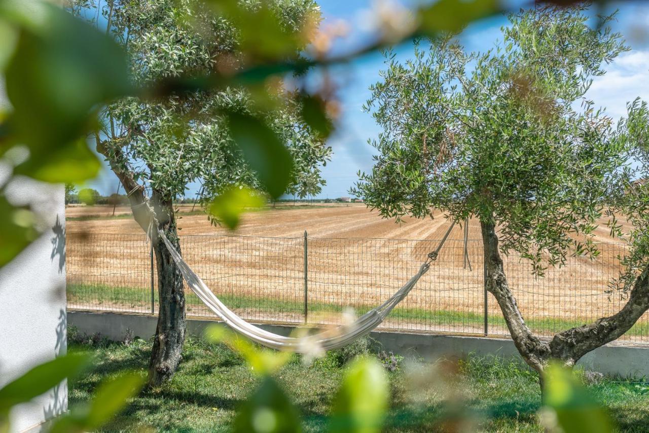 Ortopi Country Canapa House Porto Recanati Εξωτερικό φωτογραφία